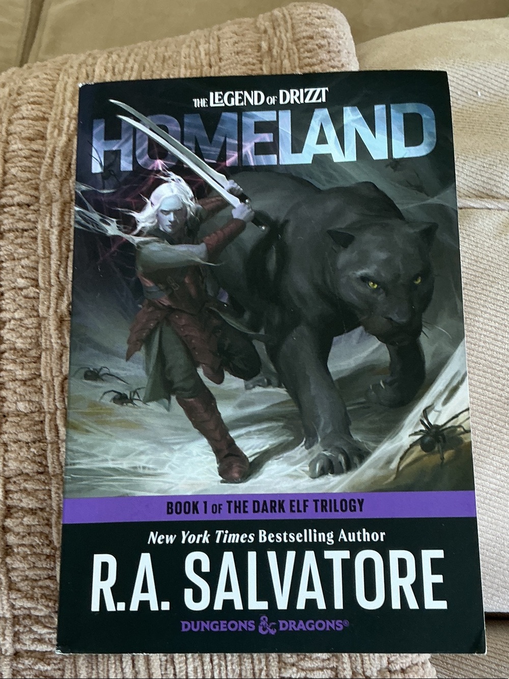 Homeland (Book 1 of The Dark Elf Trilogy) - Black Cover